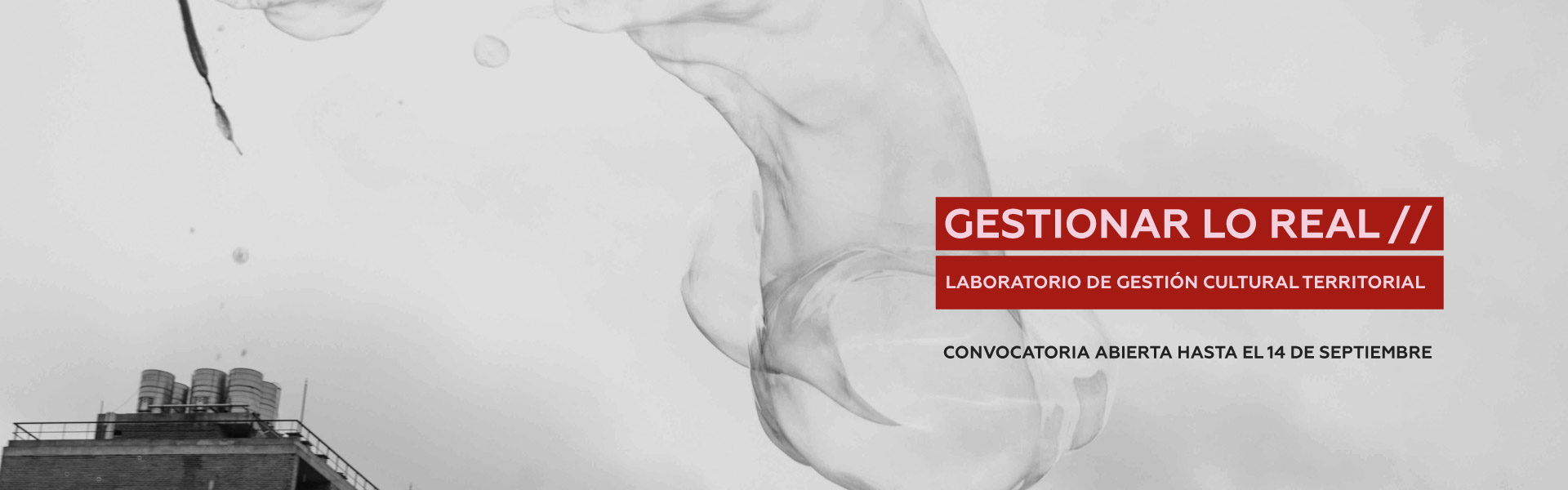 banner-gestionar-ok